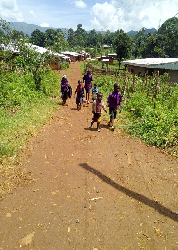 Village primary children walking together to school